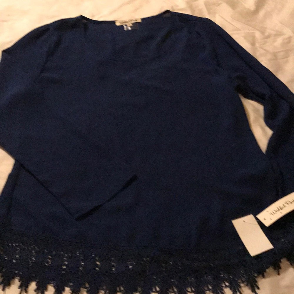 🎉🎉SALE🎉🎉Wishful Park blue top💗